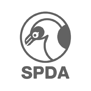 SPDA