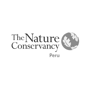 THE NATURE CONSERVANCY