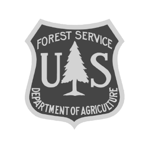 FOREST SERVICE